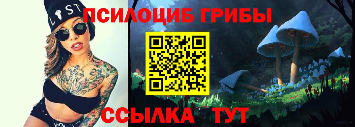 Псилоцибиновые грибы Psilocybine cubensis  Вход с VPN  Минусинск 
